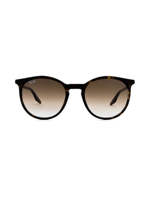 Ray-Ban Round Sunglasses in Brown.