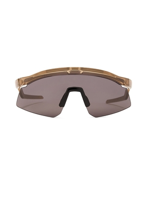 Oakley Hydra Sunglasses in Brown.