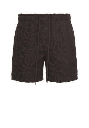 OAS Blossom Terry Short in Chocolate. Size M, S, XL/1X.