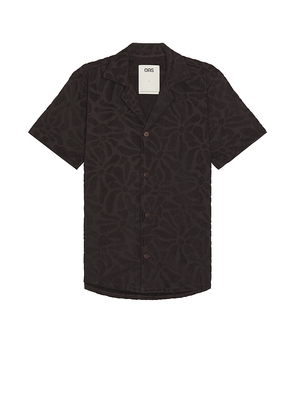 OAS Blossom Cuba Terry Shirt in Chocolate. Size M, S, XL/1X.