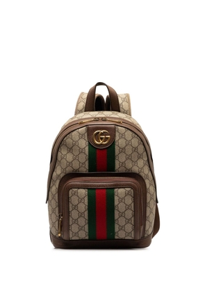 Gucci Pre-Owned 2016-2023 small Ophidia backpack - Brown