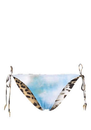 Roberto Cavalli mix-print reversible bikini bottoms - Blue
