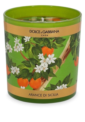 Dolce & Gabbana floral-print scented candle (250g) - Green
