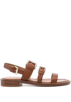 Cenere GB Queen Ranch buckled leather sandals - Brown