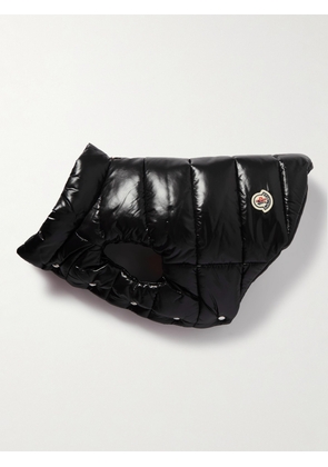 Moncler Genius - Poldo Dog Couture Logo-Appliquéd Quilted Padded Shell Dog Gilet - Men - Black - 0