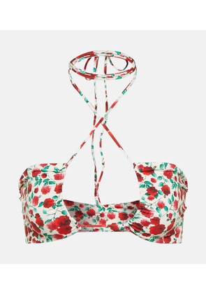 Magda Butrym Floral-printed halterneck bikini top