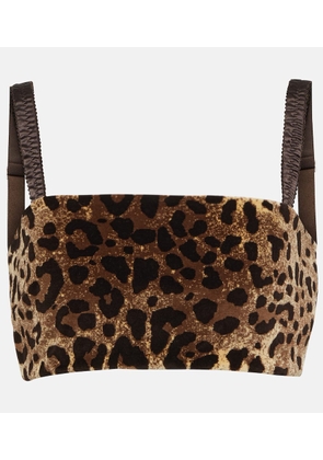 Dolce&Gabbana Leopard-print velvet crop top