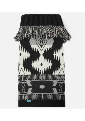 Alanui x Poldo Dog Couture Icon dog sweater