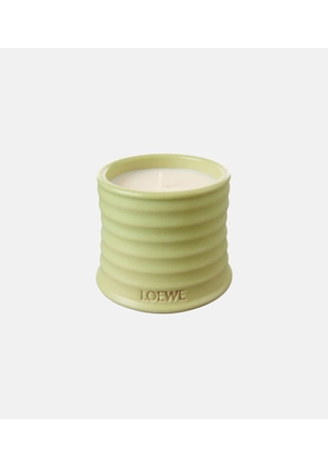 Loewe Home Scents Cucumber Small scented candle