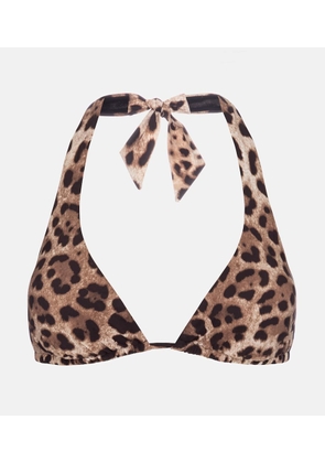 Dolce&Gabbana Leopard-print halterneck bikini top