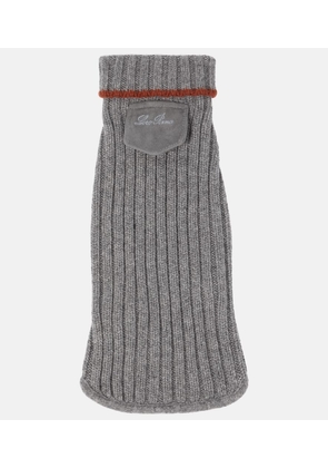 Loro Piana Ribbed-knit cashmere dog sweater