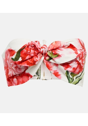 Dolce&Gabbana Floral-printed cotton bandeau top