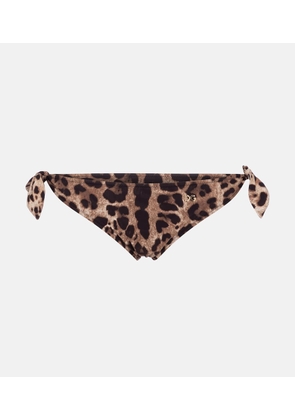 Dolce&Gabbana Leopard-print bikini bottoms