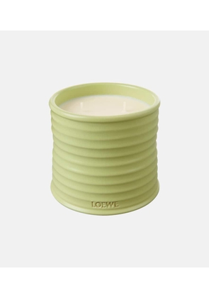 Loewe Home Scents Cucumber Medium scented candle