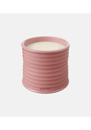 Loewe Home Scents Ivy Medium candle