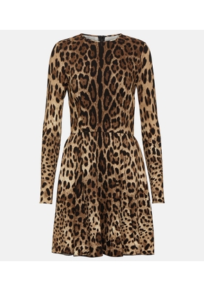 Dolce&Gabbana Leopard-print jersey minidress