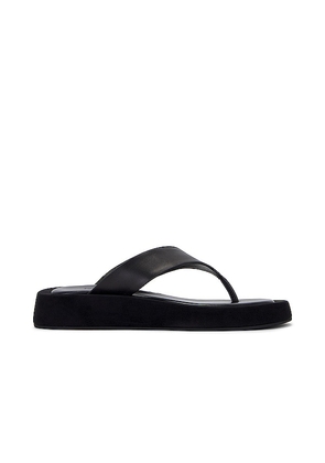 Tony Bianco Ives Sandal in Black. Size 5, 9.