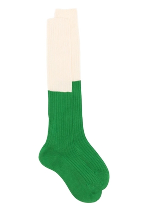 Sofie D'hoore two-tone ribbed socks - Green