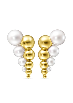 TASAKI 18kt yellow gold M/G TASAKI REFLECTED freshwater pearl earrings