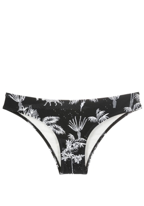 Lygia & Nanny Waikiki low-rise bikini bottom - Black
