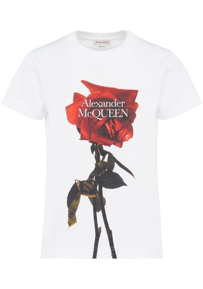 Alexander McQueen Shadow Rose print T-shirt - White