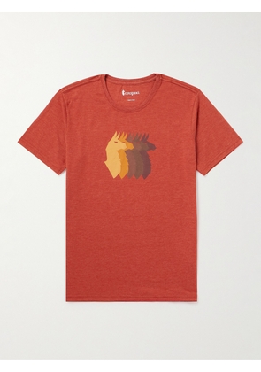 Cotopaxi - Llama Sequence Printed Organic Cotton-Blend Jersey T-Shirt - Men - Red - S