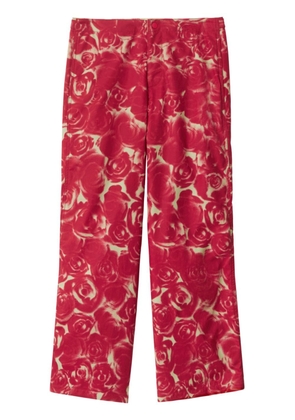 Burberry rose-print cotton trousers - Red