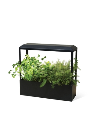 Modern Sprout Smart Growhouse in Matte Black