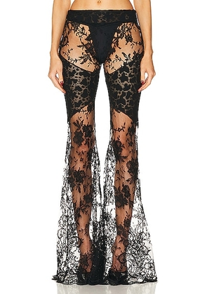 Roberto Cavalli Flared Floreal Chantilly Lace Pant in Nero - Black. Size 42 (also in 44).