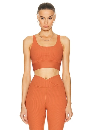 YEAR OF OURS Ribbed Gym Bra in Terracota - Burnt Orange. Size XS (also in ).