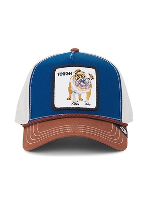 Goorin Brothers Bully Hat in Blue.