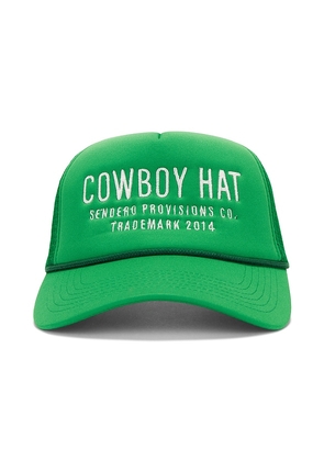Sendero Provisions Co. Cowboy Hat in Green.
