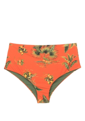 Lygia & Nanny Violeta botanical-print bikini bottoms - Orange