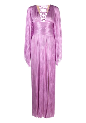 Maria Lucia Hohan pleated silk maxi dress - Purple