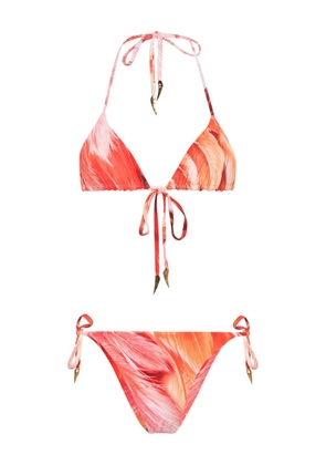 Roberto Cavalli Tiger Tooth-detailed feather-print bikini - Pink