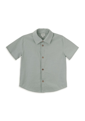 Knot Cotton Colt Shirt (3-8 Years)
