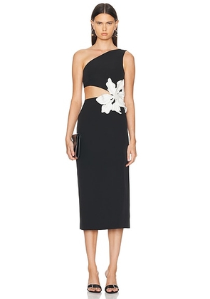 PatBO Flower Applique Midi Dress in Black - Black. Size 0 (also in ).