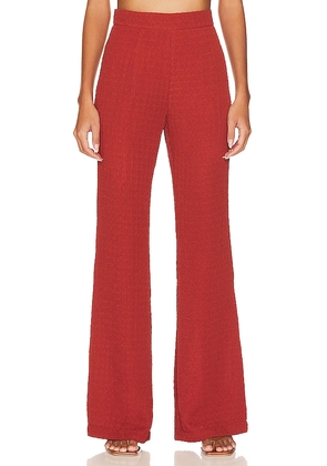 Steve Madden Kimmy Pant in Rust. Size XL.