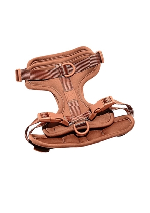 Wild One Large Harness in Brown.