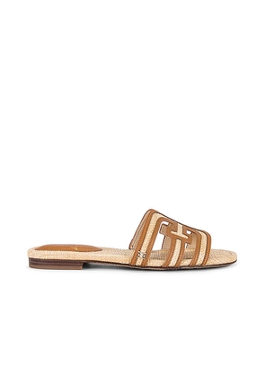 Sam Edelman Bay Multi Sandal in Cognac. Size 6.5, 7.