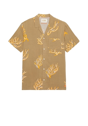 Scotch & Soda Allover Printed Viscose Short Sleeve Shirt in Taupe. Size S, XL/1X.