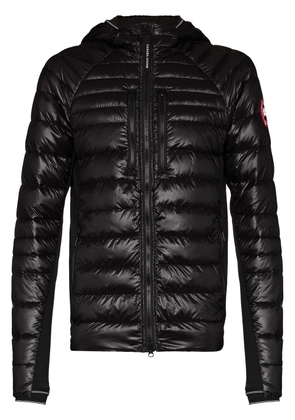 Canada Goose black Hybridge Lite padded jacket