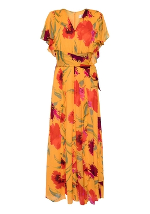 DVF Diane von Furstenberg Bleuet floral-print chiffon maxi dress - Orange