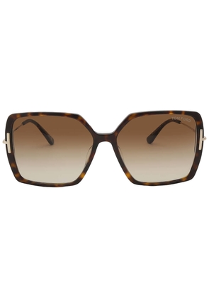 Tom Ford Joanna Brown Gradient Butterfly Ladies Sunglasses FT1039 52F 59