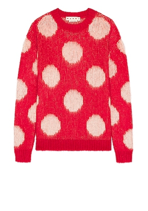 Marni Roundneck Sweater in Tulip - Red. Size 48 (also in 50, 52).