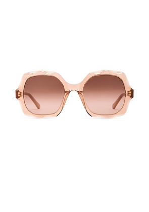 Chloe Scalloped Square Sunglasses in Brown.