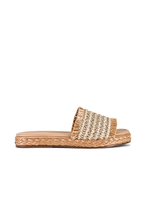 Kaanas Conchal Sandal in Nude. Size 10, 11, 6, 7, 8, 9.