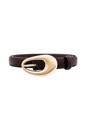 SHASHI Oval Buckle Belt in Brown.