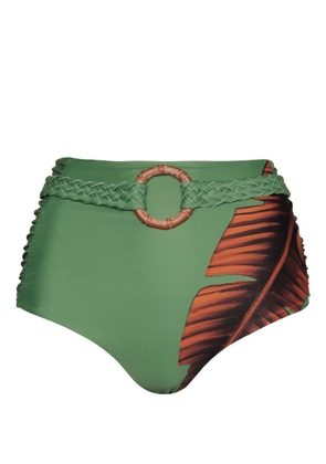 Johanna Ortiz Cumbi leaf-print bikini bottoms - Green