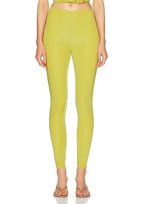 Maygel Coronel Galera Pant in Oaisis Green - Green. Size all.